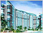 Amrapali Eden Park, Sector-50