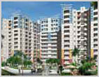 Amrapali Sapphire Sector 45 Noida