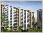 DLF Express Greens Manesar Gurgaon